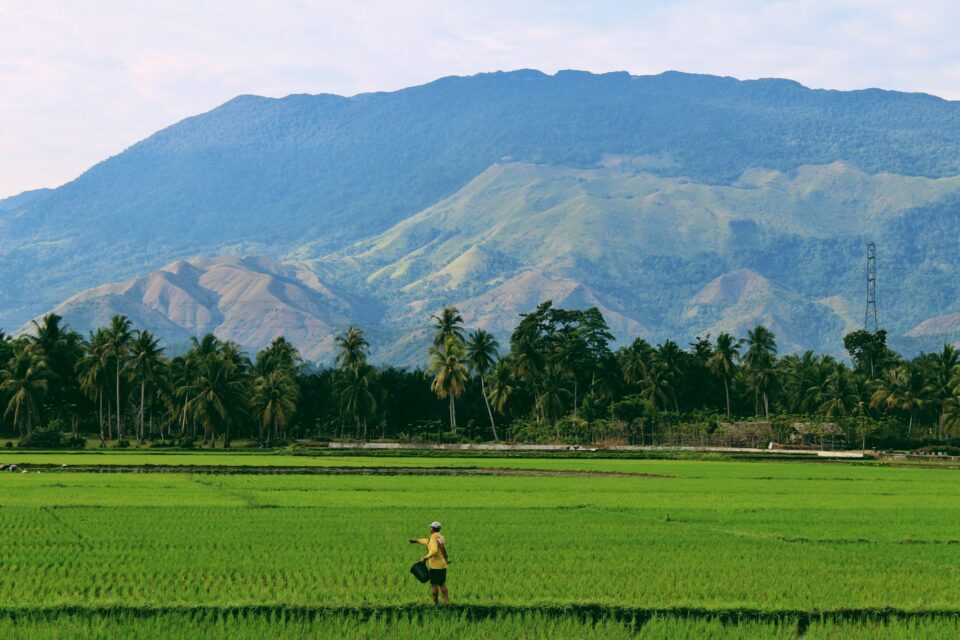 Current weather environment pushing investments in agribusinesses, AgTech