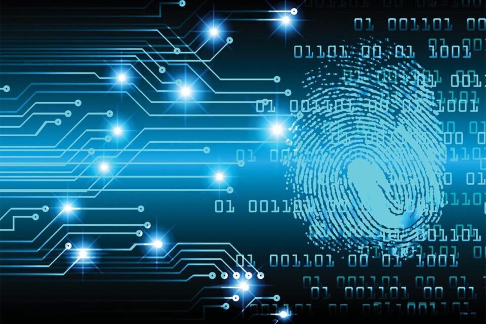 Cyber risks and the growing demand to protect businesses, governments