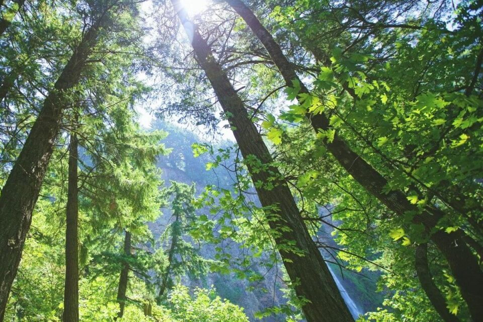 Circular economy to reduce planetary pressure