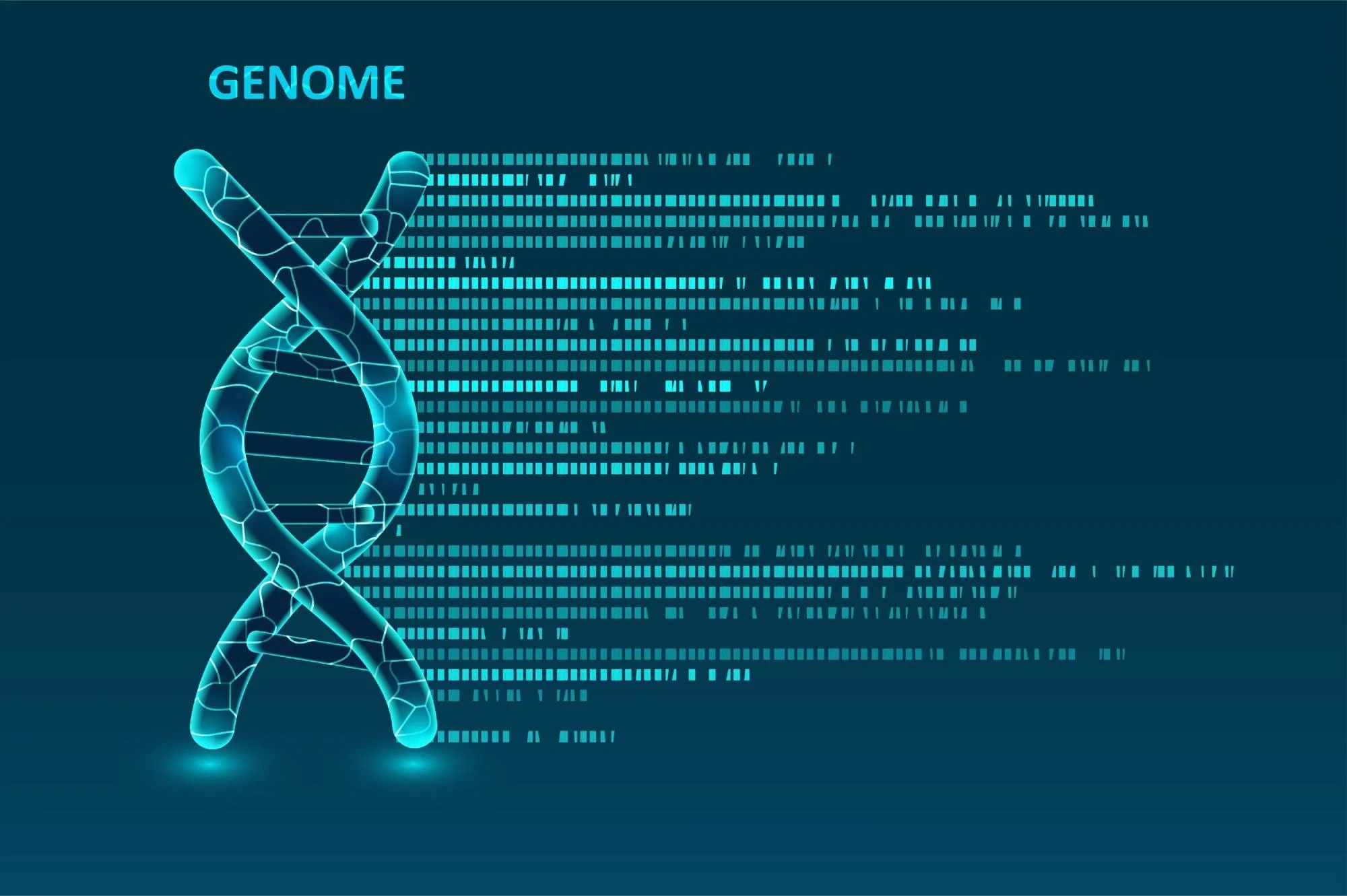 Decoding the genome: how AI is revolutionising genomic analysis